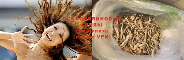 дживик Алексеевка