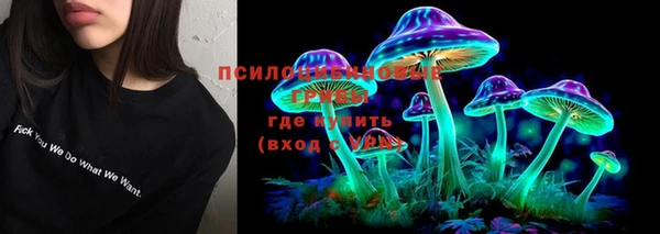 дживик Алексеевка