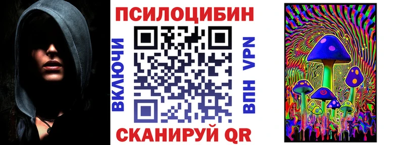 Галлюциногенные грибы Psilocybine cubensis  Комсомольск 